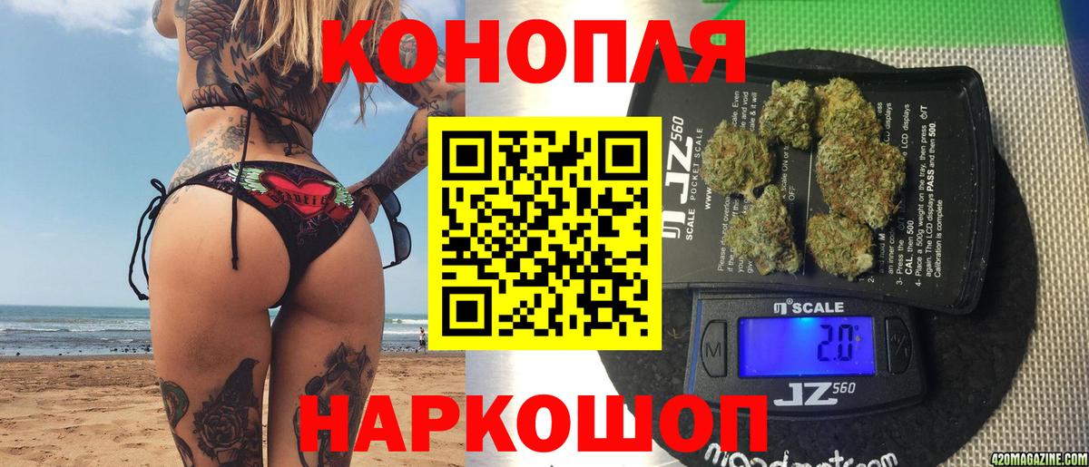 Бошки Шишки сатива  Канабис семена  Оренбург  Бошки Шишки семена  Вход с VPN 